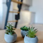 Trg Apartment *