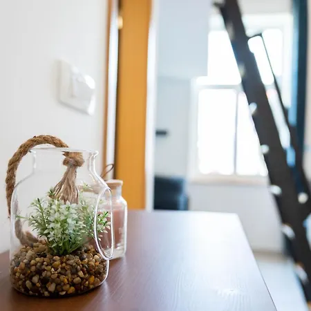 Apartman Trg Brezice